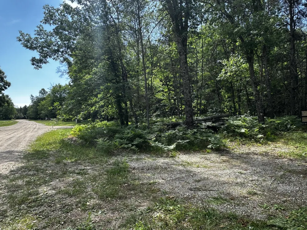W Airpark Drive Luther, MI 49656