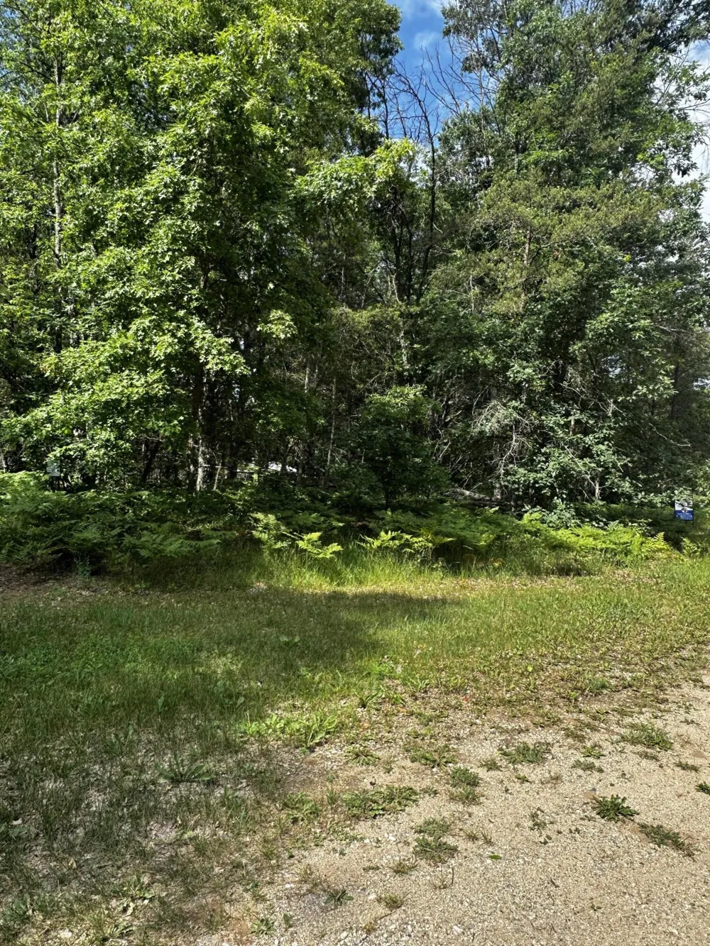 W Airpark Drive Luther, MI 49656
