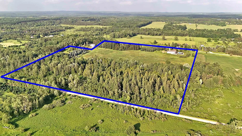 18281 Tustin Road Burdell Township, MI 49688