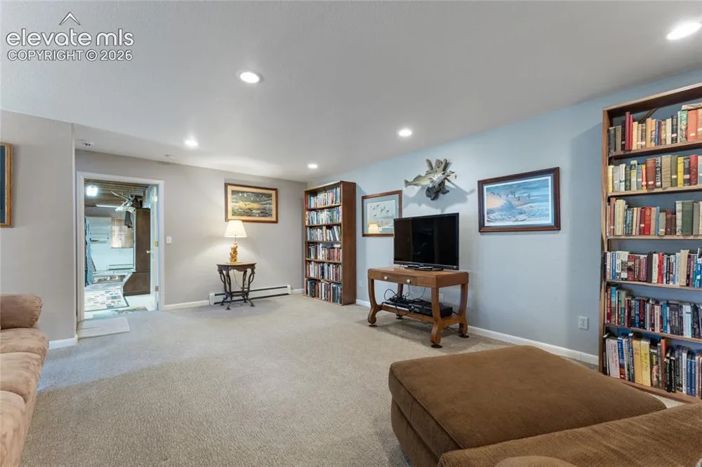 657 Spring Valley Drive Divide, CO 80814