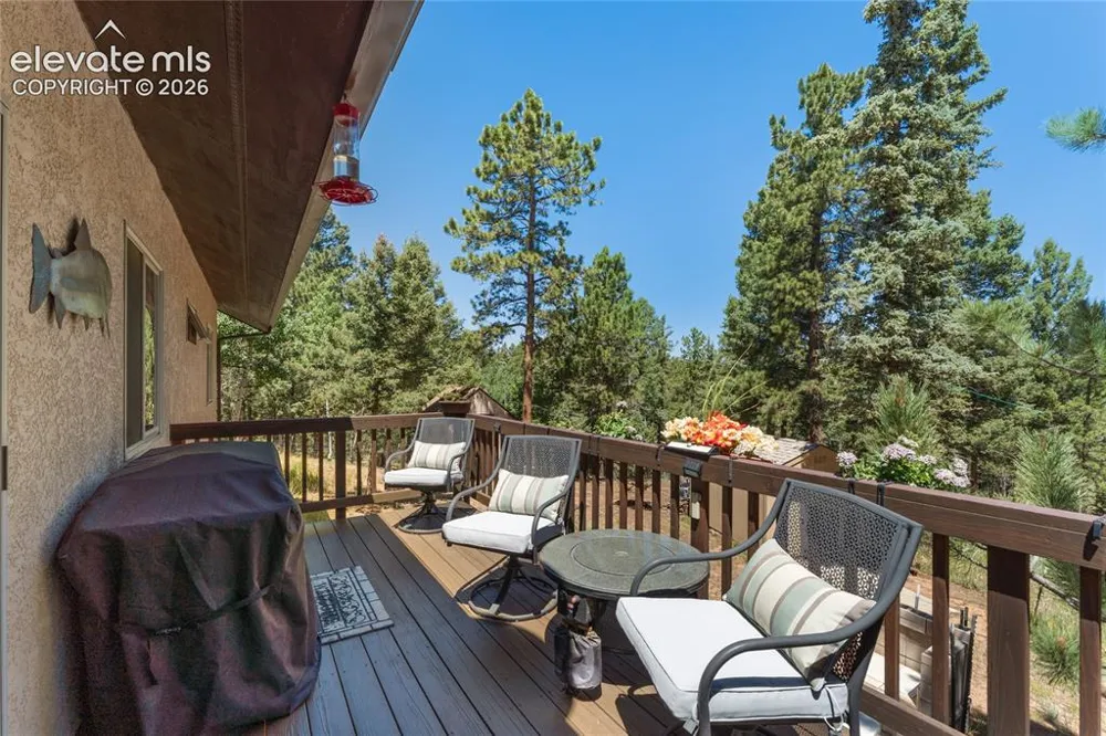 657 Spring Valley Drive Divide, CO 80814