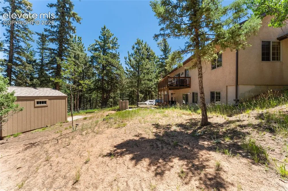 657 Spring Valley Drive Divide, CO 80814