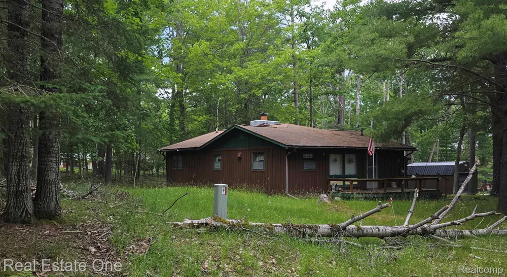4233 Pheasant Road Alcona Township, MI 48742