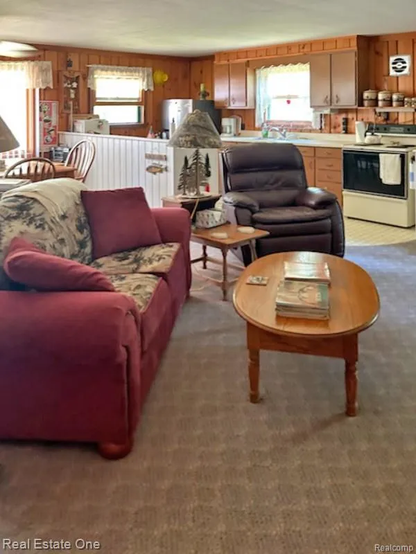 4233 Pheasant Road Alcona Township, MI 48742