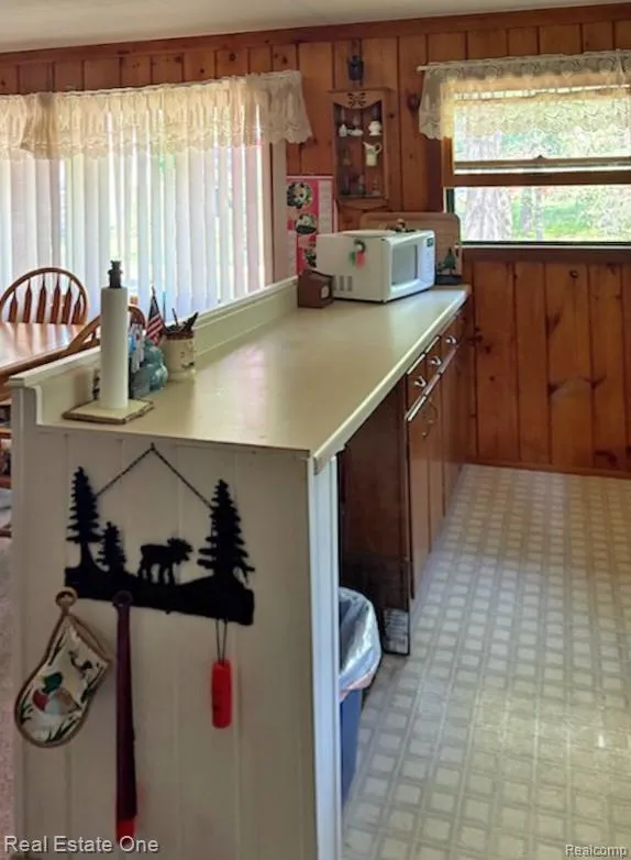 4233 Pheasant Road Alcona Township, MI 48742