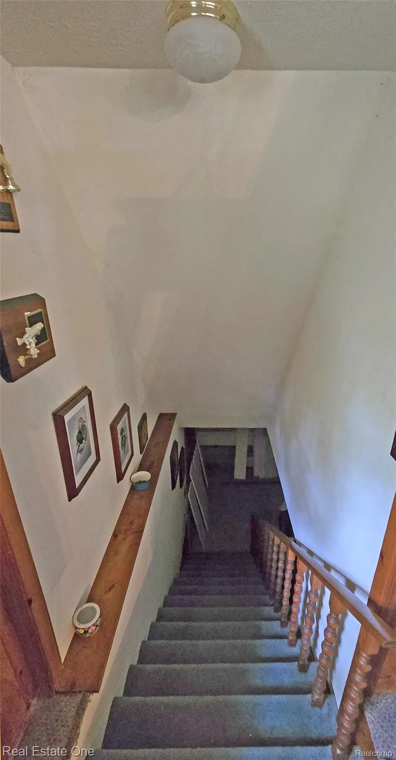 4233 Pheasant Road Alcona Township, MI 48742