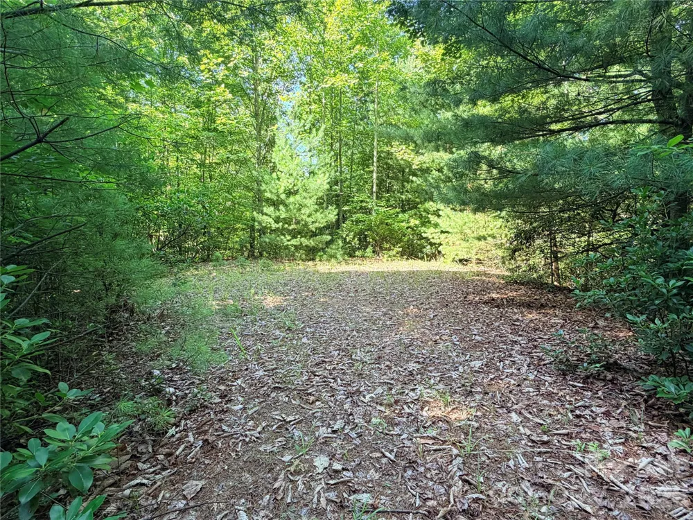 TBD Blue Rock Road #171 & 172B Purlear, NC 28665