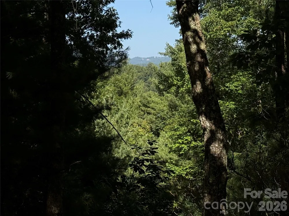 TBD Blue Rock Road #171 & 172B Purlear, NC 28665