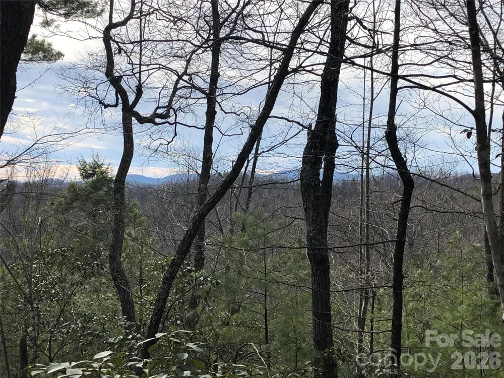 TBD Blue Rock Road #171 & 172B Purlear, NC 28665