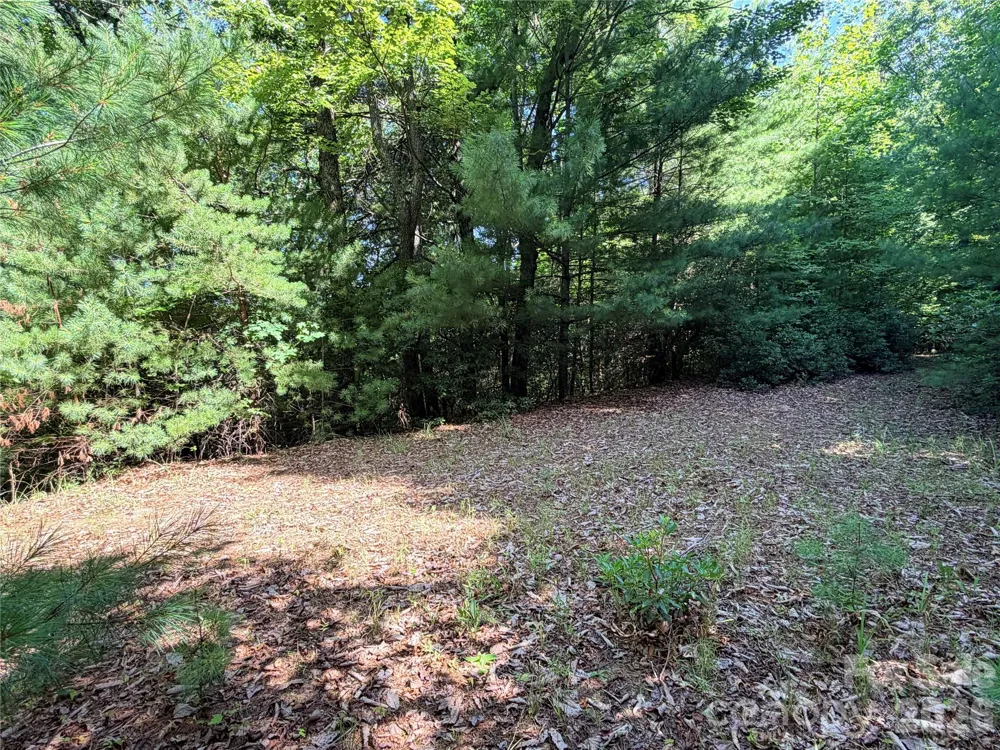 TBD Blue Rock Road #171 & 172B Purlear, NC 28665