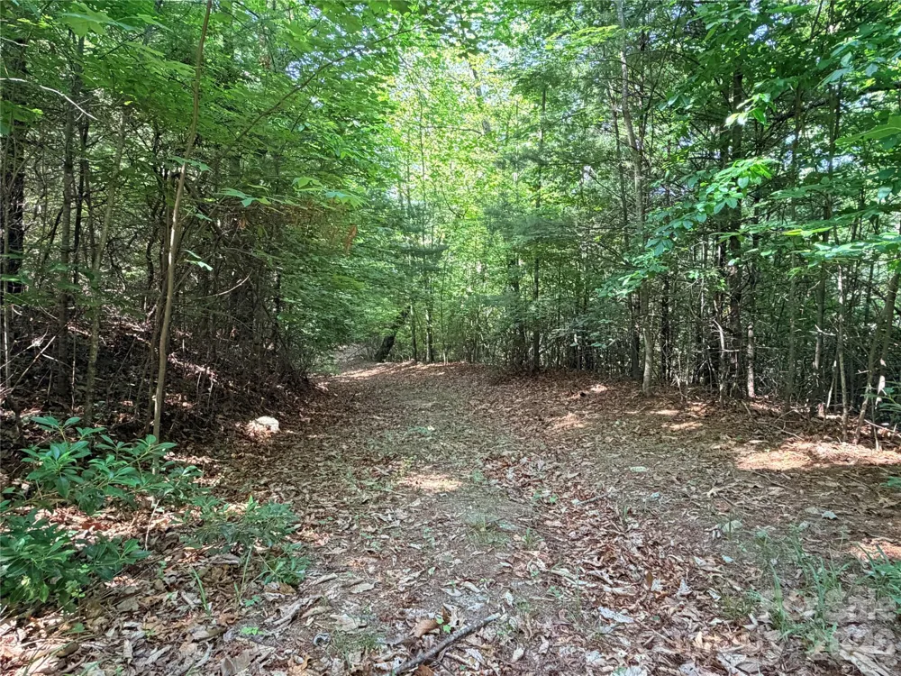 TBD Blue Rock Road #171 & 172B Purlear, NC 28665