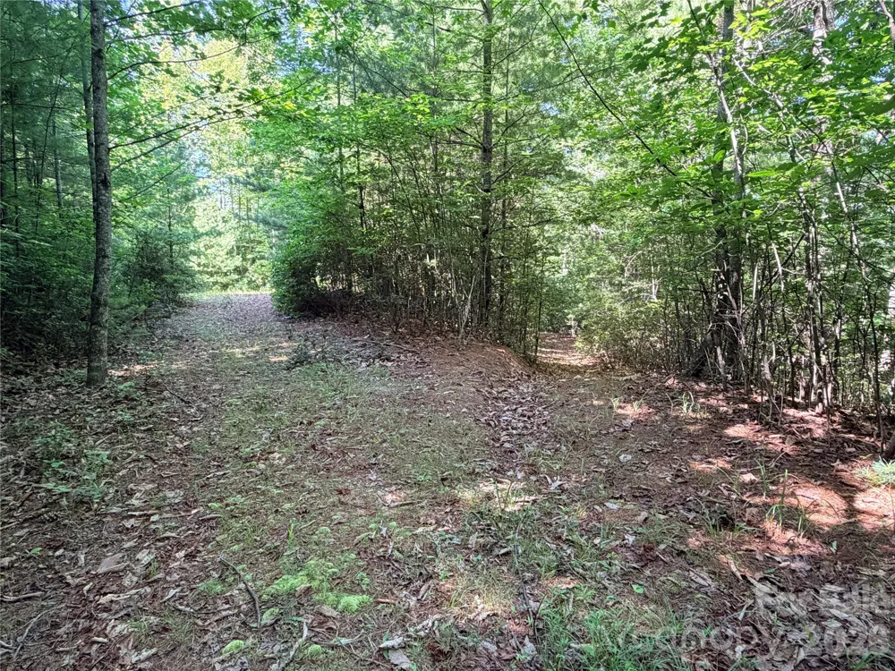 TBD Blue Rock Road #171 & 172B Purlear, NC 28665