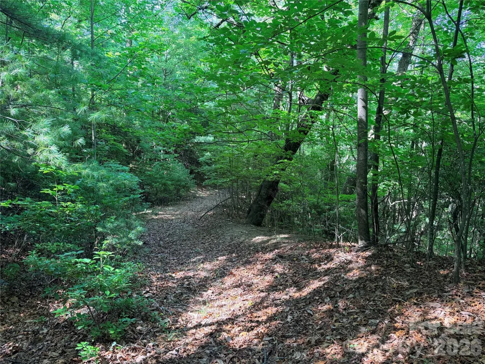 TBD Blue Rock Road #171 & 172B Purlear, NC 28665