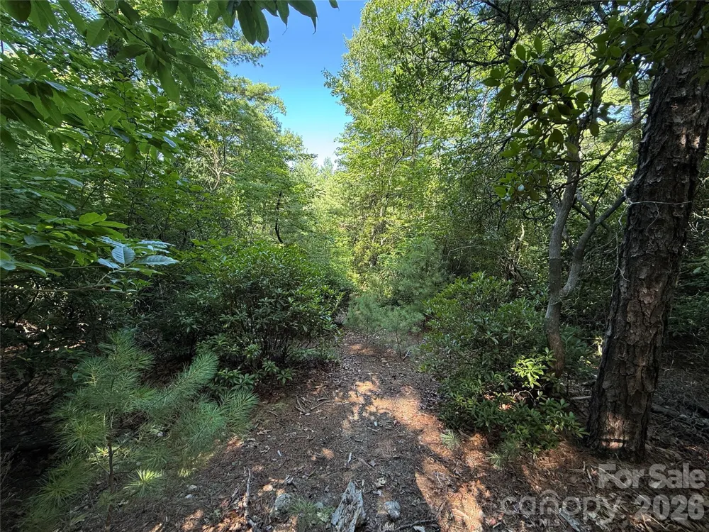 TBD Blue Rock Road #171 & 172B Purlear, NC 28665