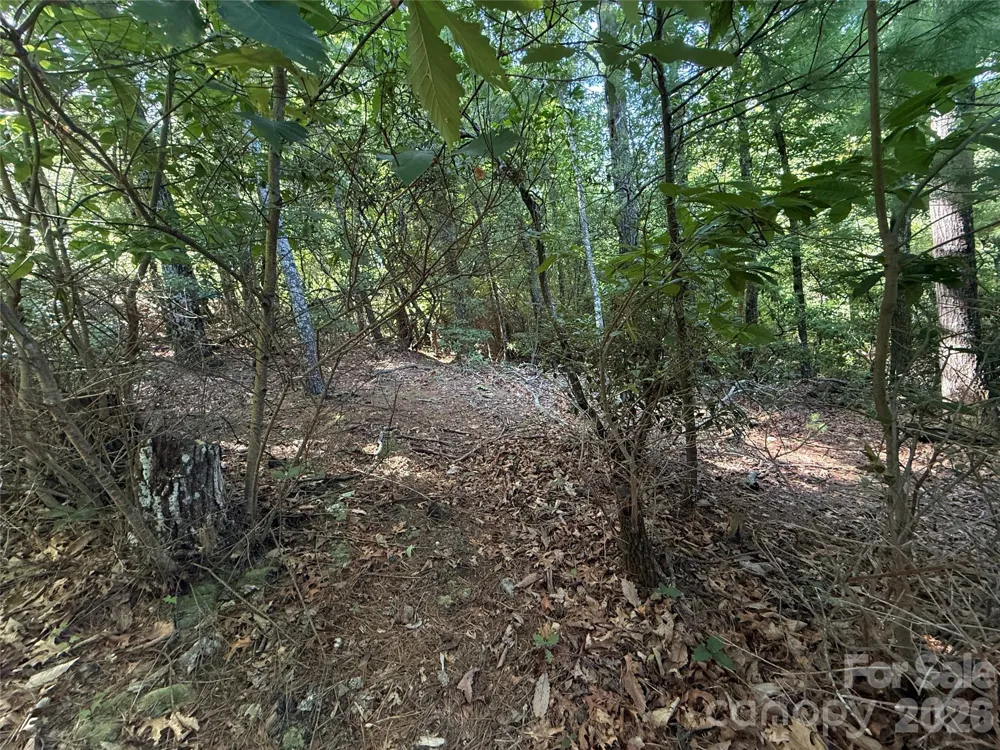 TBD Blue Rock Road #171 & 172B Purlear, NC 28665