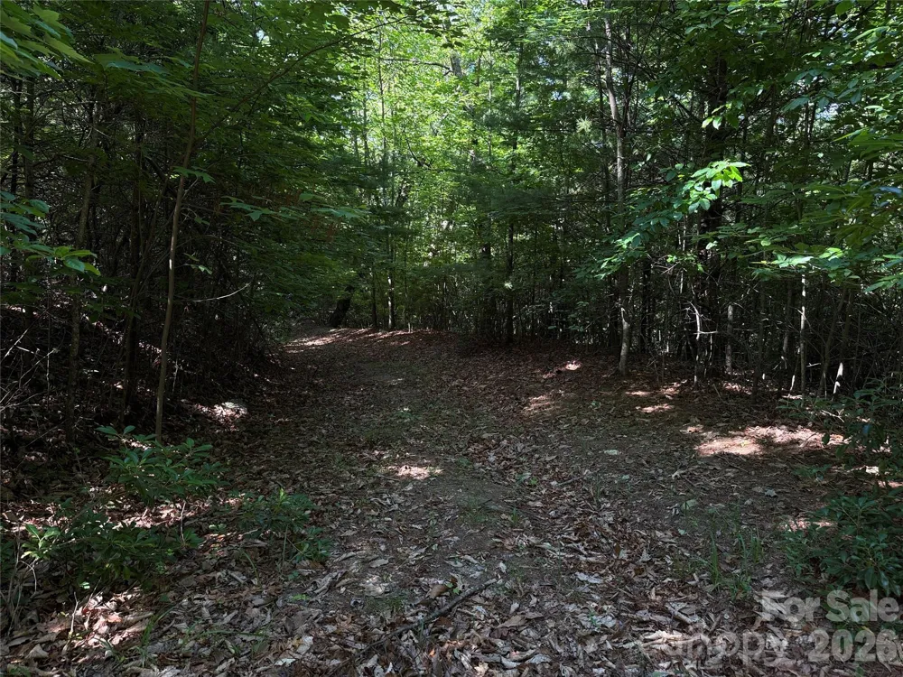 TBD Blue Rock Road #171 & 172B Purlear, NC 28665
