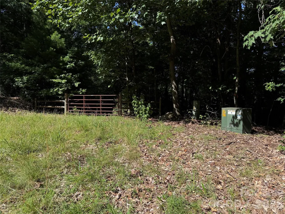 TBD Blue Rock Road #171 & 172B Purlear, NC 28665