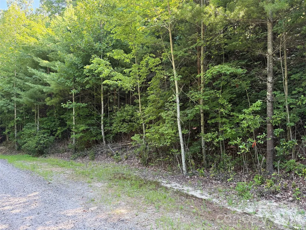 TBD Blue Rock Road #171 & 172B Purlear, NC 28665