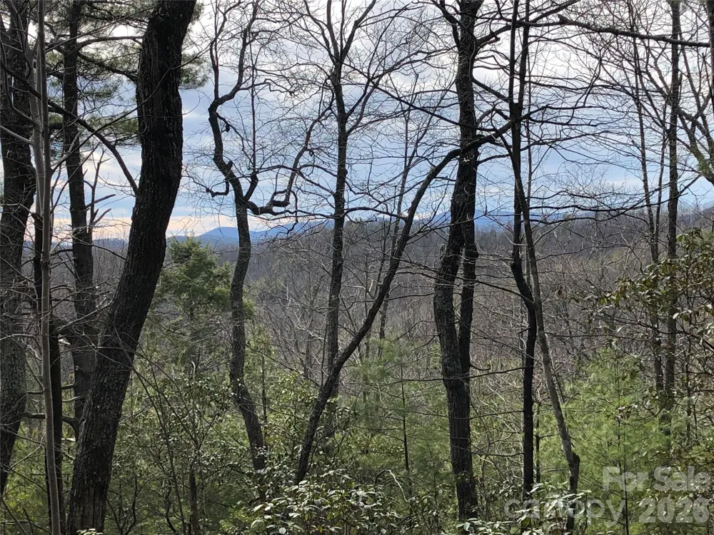 TBD Blue Rock Road #171 & 172B Purlear, NC 28665