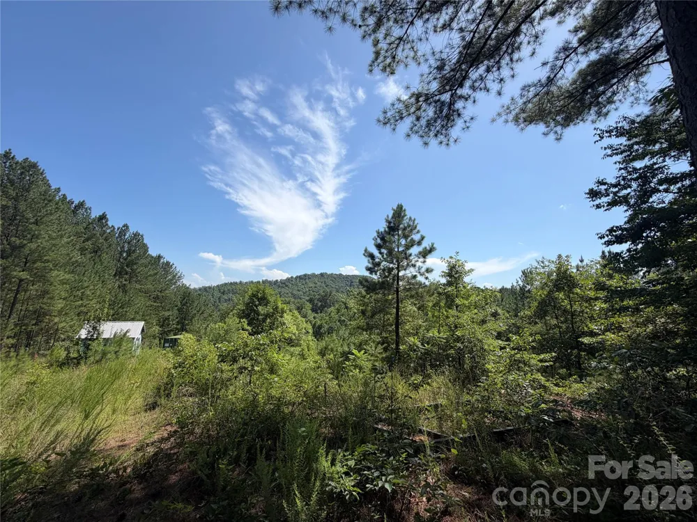 590 Gold Creek Point Union Mills, NC 28167