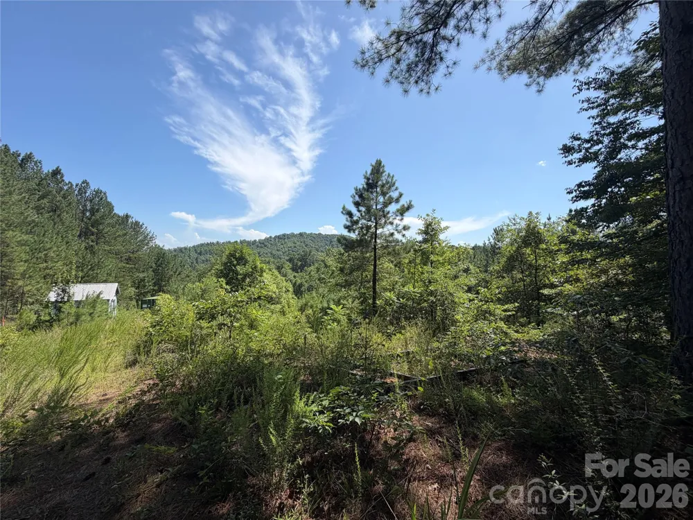 590 Gold Creek Point Union Mills, NC 28167