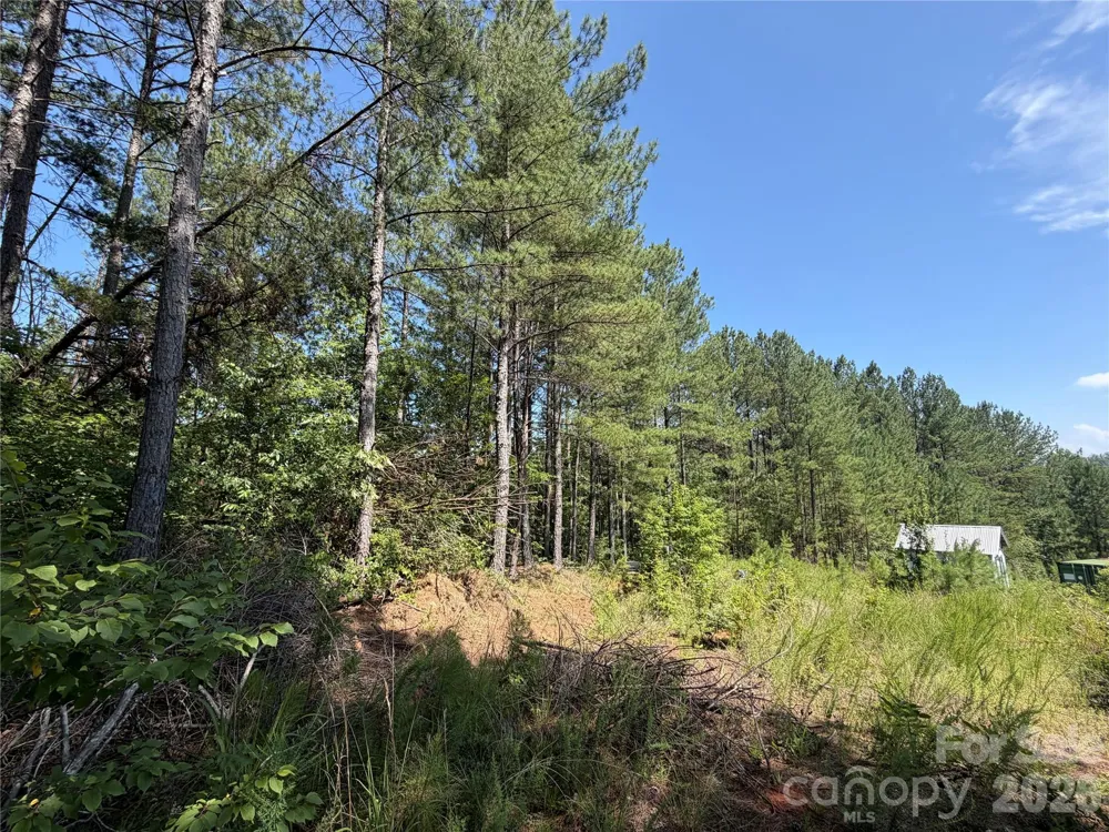 590 Gold Creek Point Union Mills, NC 28167