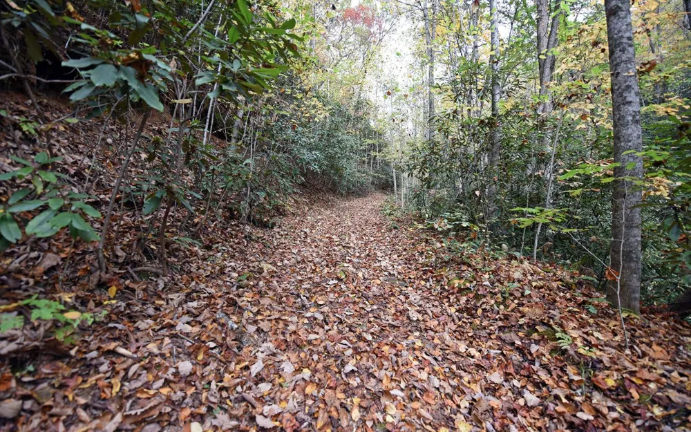 TBD Mclean Road Andrews, NC 28901