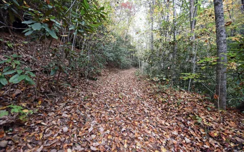 TBD Mclean Road