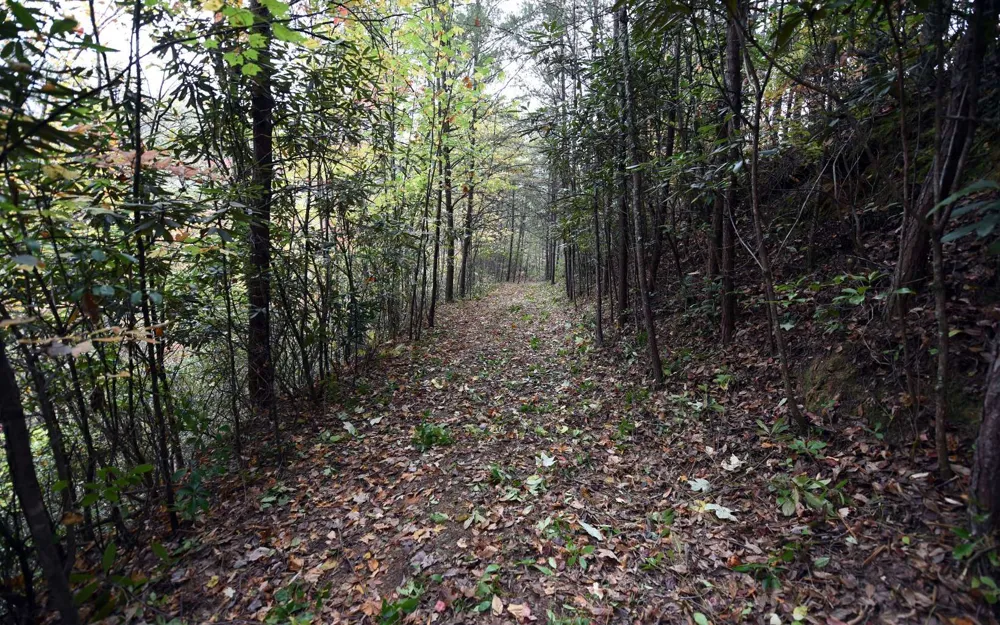 TBD Mclean Road Andrews, NC 28901
