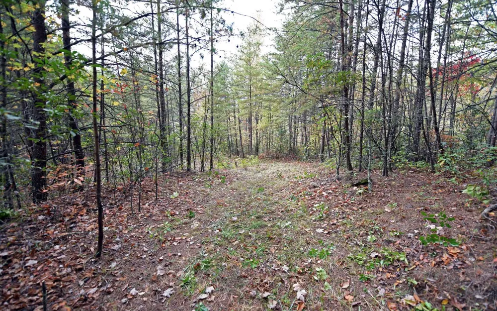 TBD Mclean Road Andrews, NC 28901
