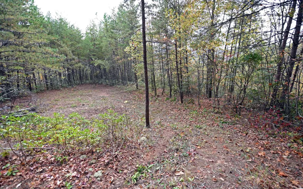 TBD Mclean Road Andrews, NC 28901