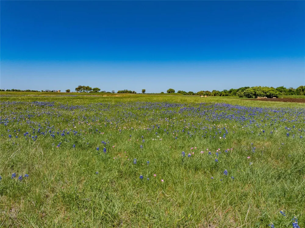 W Fm 1291 Round Top, TX 78954