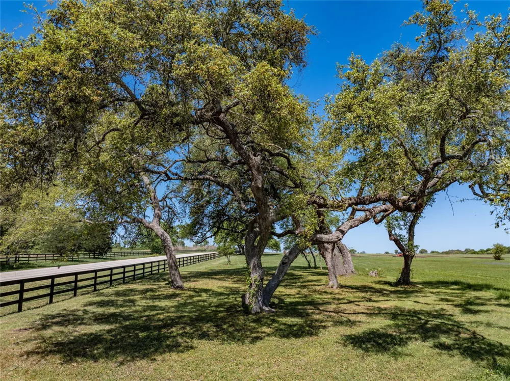 W Fm 1291 Round Top, TX 78954