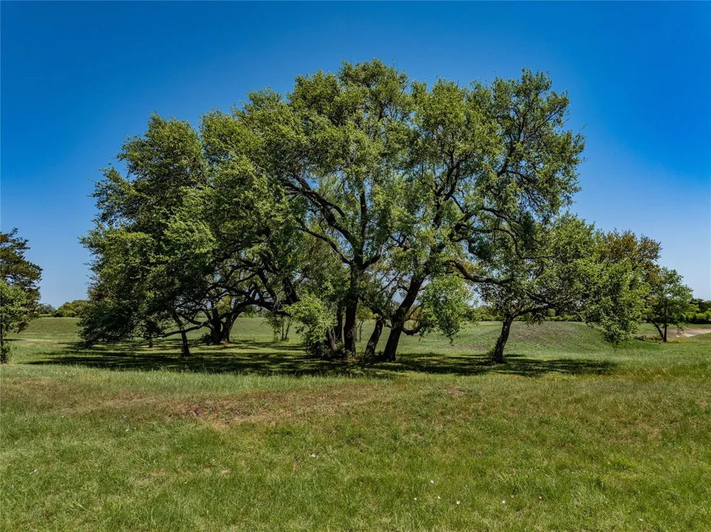W Fm 1291 Round Top, TX 78954