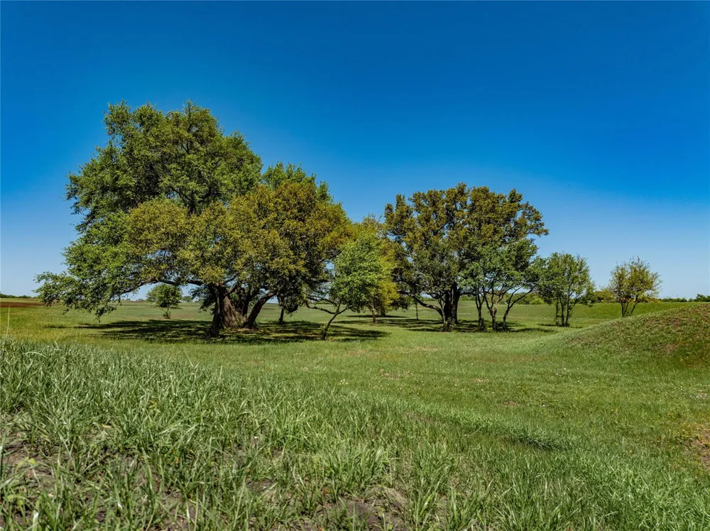 W Fm 1291 Tract 2 Round Top, TX 78954