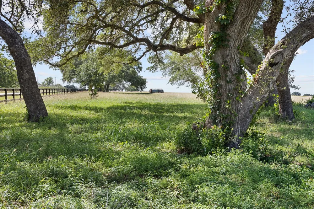 W Fm 1291 Tract 2 Round Top, TX 78954
