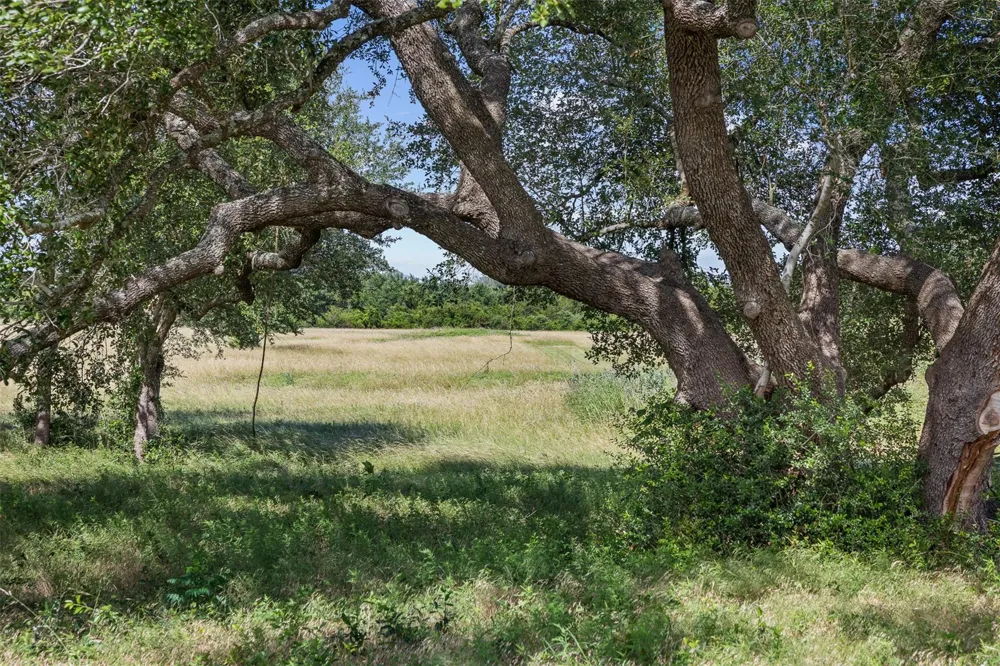 W Fm 1291 Tract 2 Round Top, TX 78954