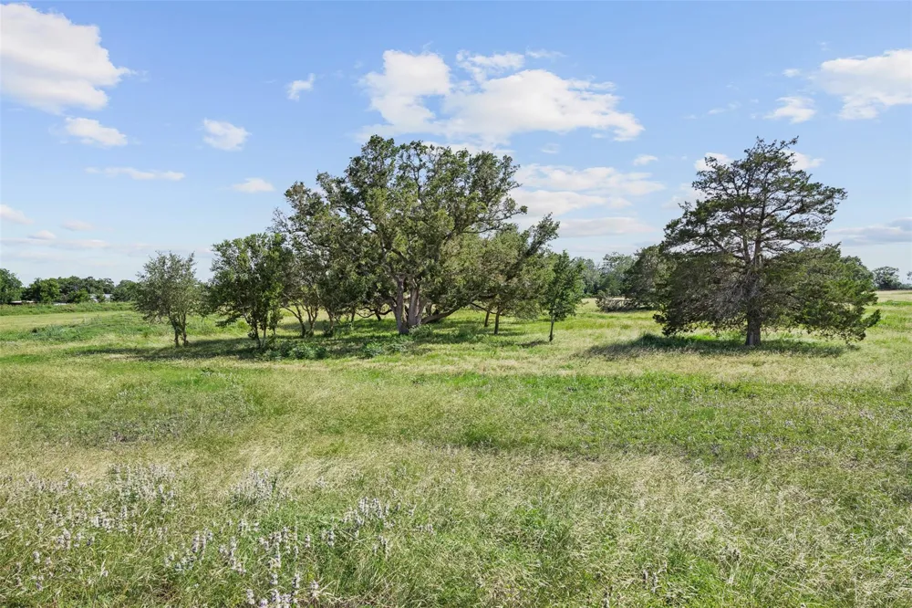 W Fm 1291 Tract 2 Round Top, TX 78954