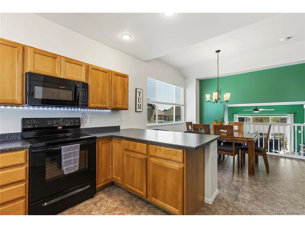 446 Ptarmigan Street Severance, CO 80550