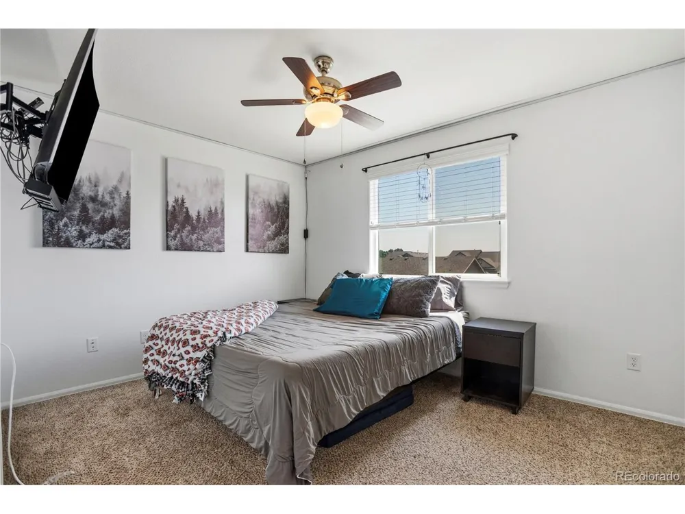 446 Ptarmigan Street Severance, CO 80550