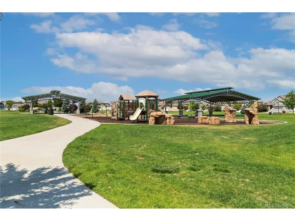 446 Ptarmigan Street Severance, CO 80550