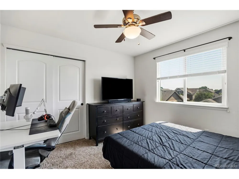 446 Ptarmigan Street Severance, CO 80550