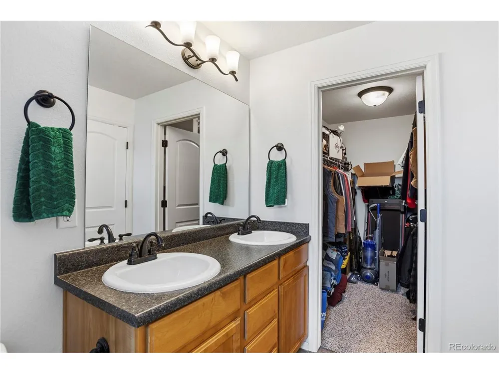 446 Ptarmigan Street Severance, CO 80550