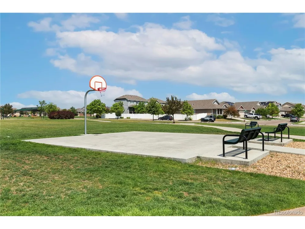 446 Ptarmigan Street Severance, CO 80550