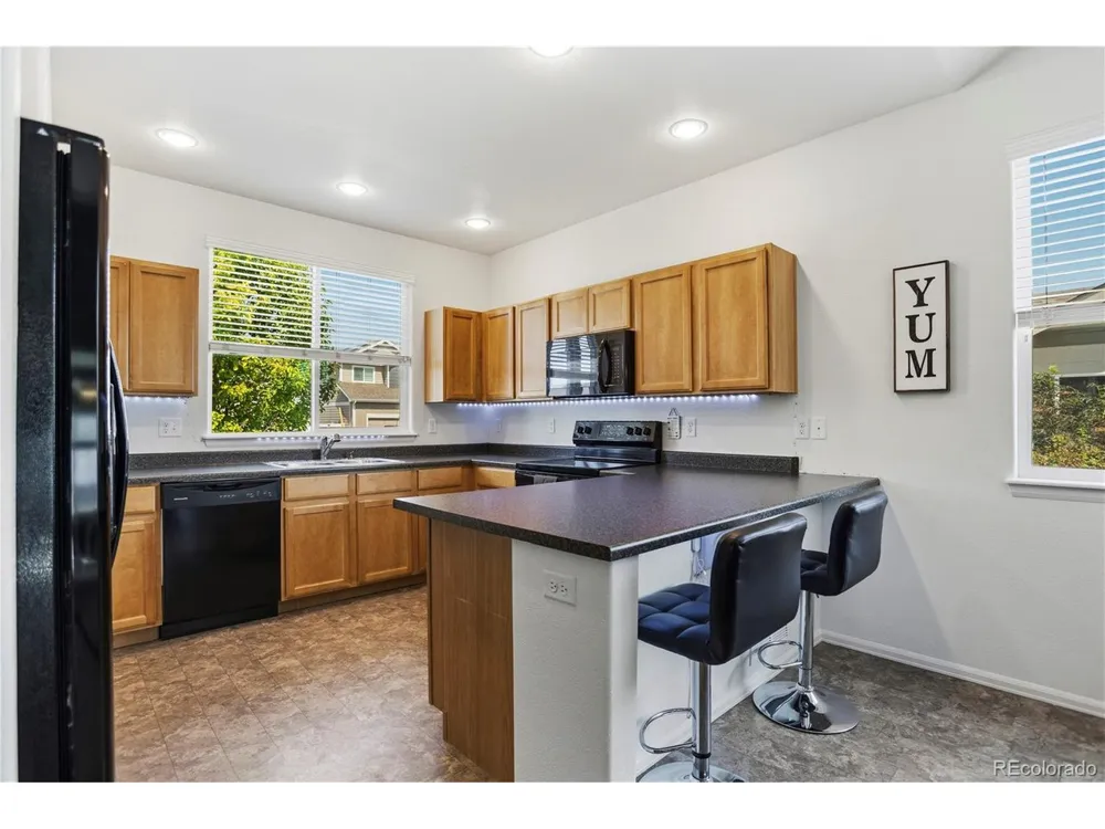 446 Ptarmigan Street Severance, CO 80550