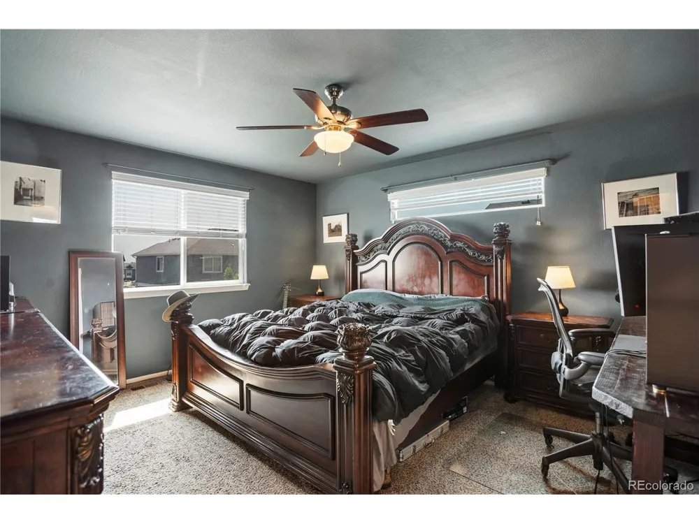 446 Ptarmigan Street Severance, CO 80550