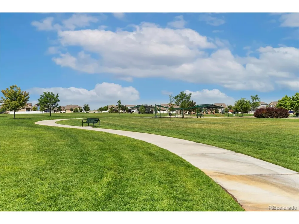 446 Ptarmigan Street Severance, CO 80550