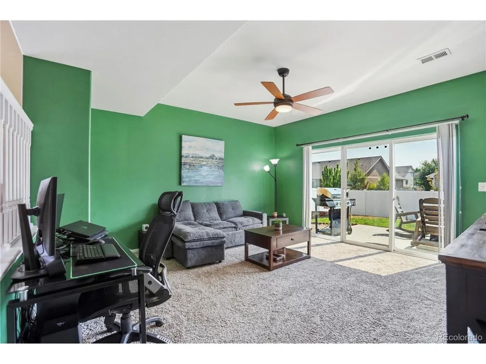 446 Ptarmigan Street Severance, CO 80550
