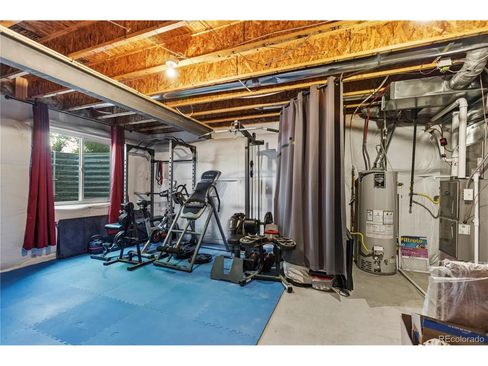 446 Ptarmigan Street Severance, CO 80550