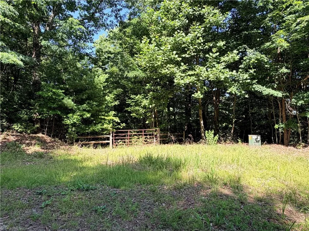Lots 171 & 172B Blue Rock Road Purlear, NC 28665